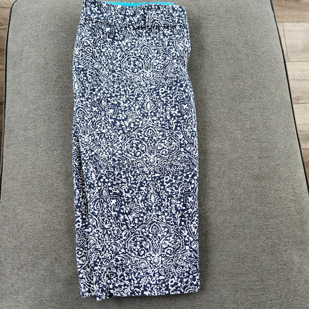 Ann Taylor Capri Pants